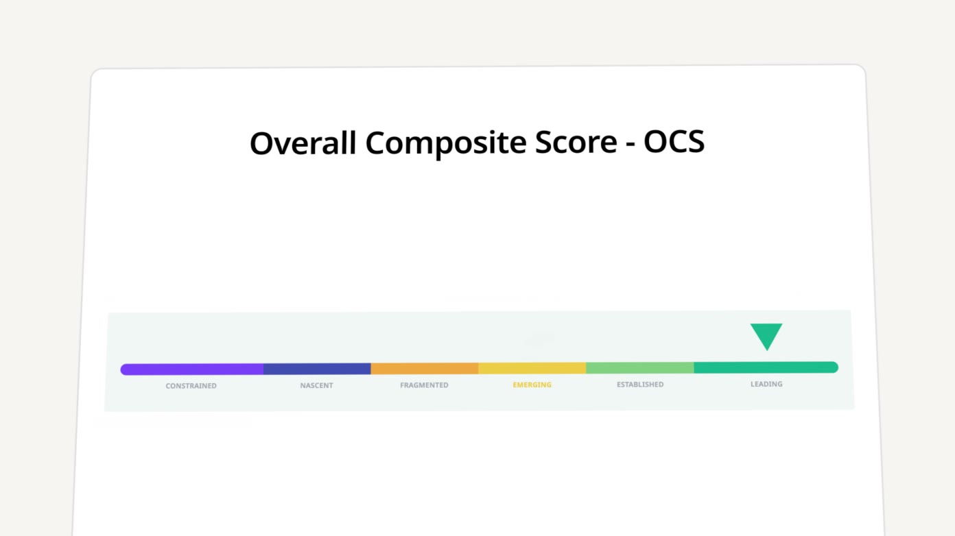 Overall Composite Score